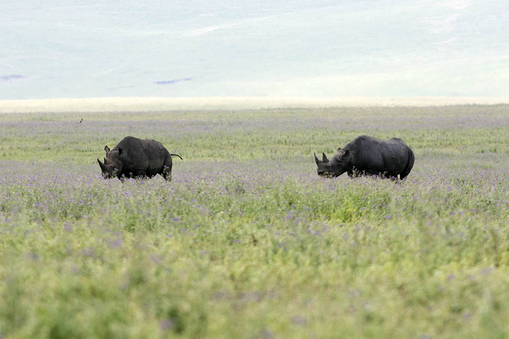 f:id:mi28:20160330124028j:plain:w500