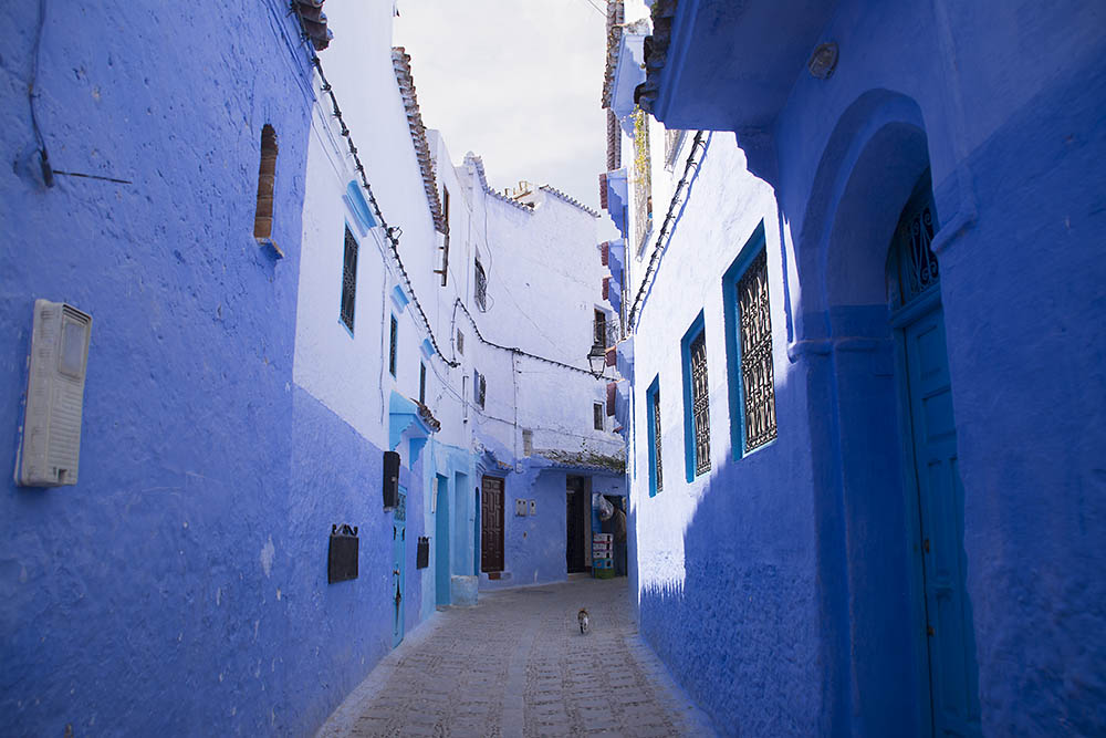 f:id:mi28:20160416141715j:plain:w500