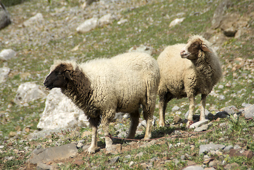 f:id:mi28:20160416163125j:plain:w500