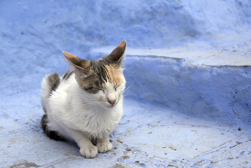 f:id:mi28:20160416174209j:plain:w500