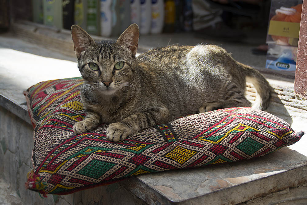 f:id:mi28:20160418155050j:plain:w500 f:id:mi28:20160418155050j:plain:w500