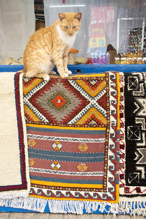 f:id:mi28:20160507154810j:plain:w300 f:id:mi28:20160507154810j:plain:w300