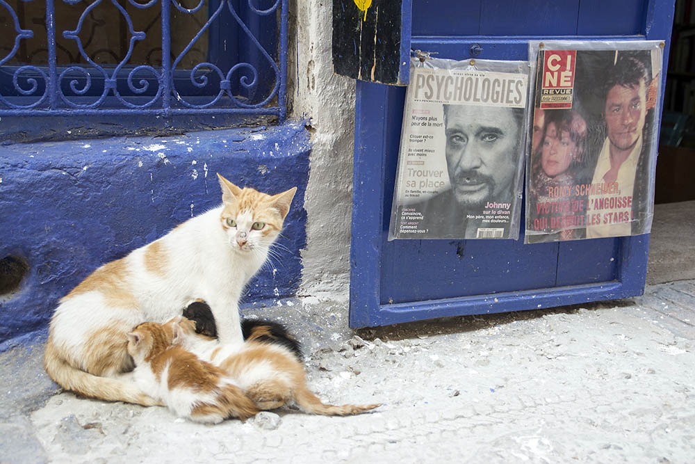 f:id:mi28:20160507155146j:plain:w500 f:id:mi28:20160507155146j:plain:w500