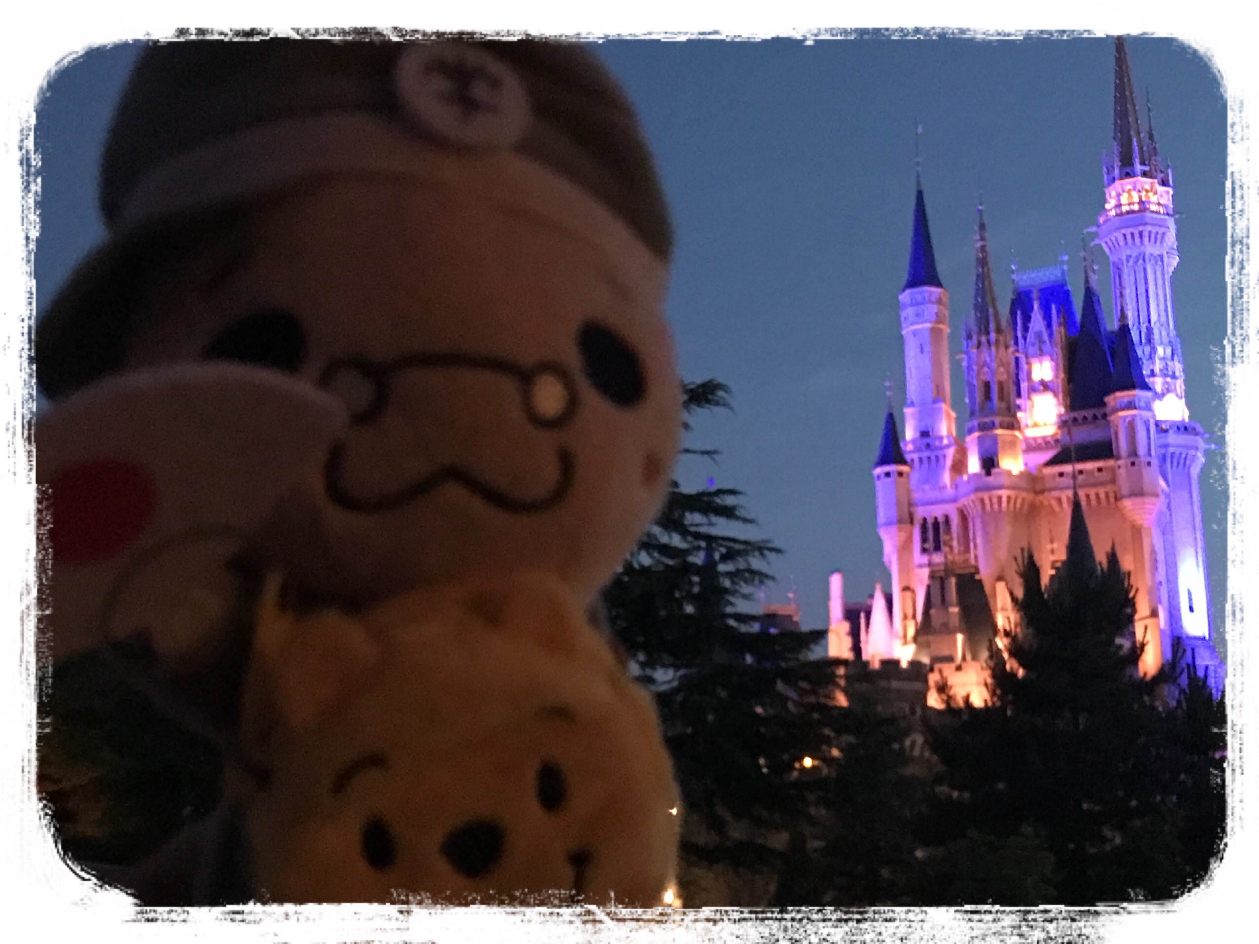 f:id:mi9mo:20180623182354j:plain f:id:mi9mo:20180623182354j:plain