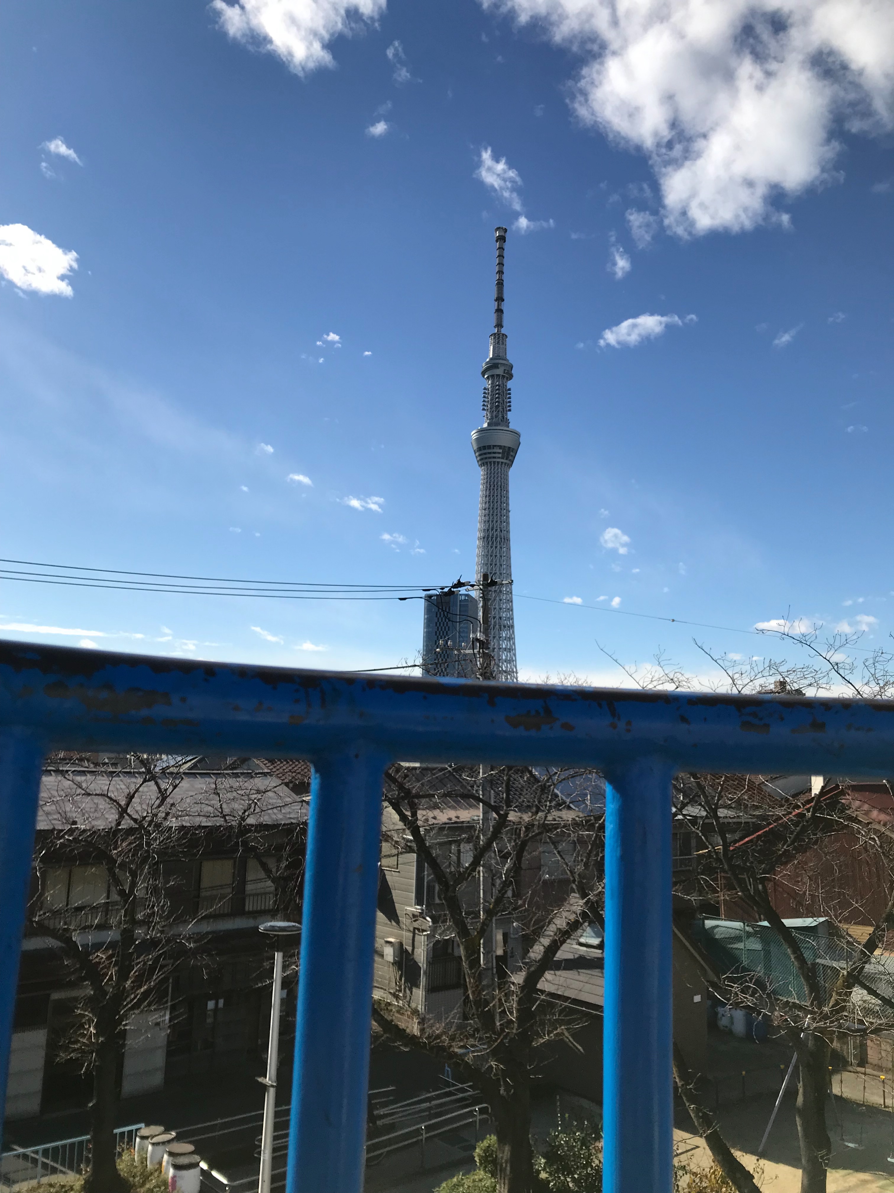 f:id:mi9mo:20190115144041j:image f:id:mi9mo:20190115144041j:image