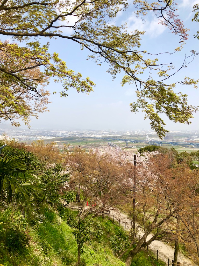 f:id:miD0:20190408214055j:image