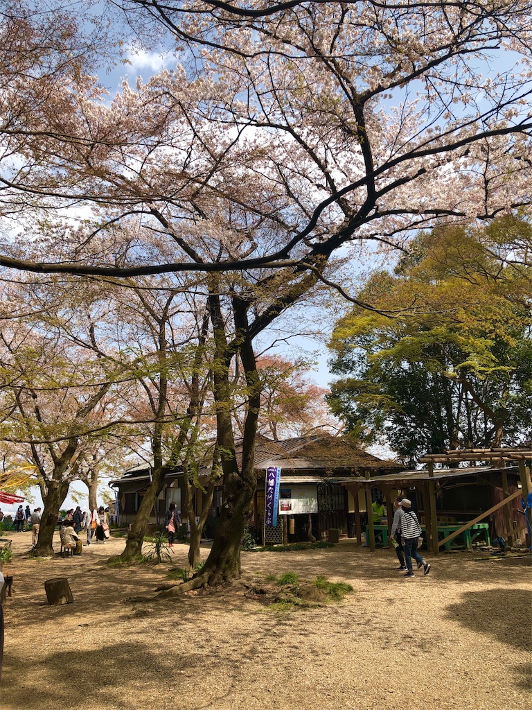 f:id:miD0:20190408214100j:image