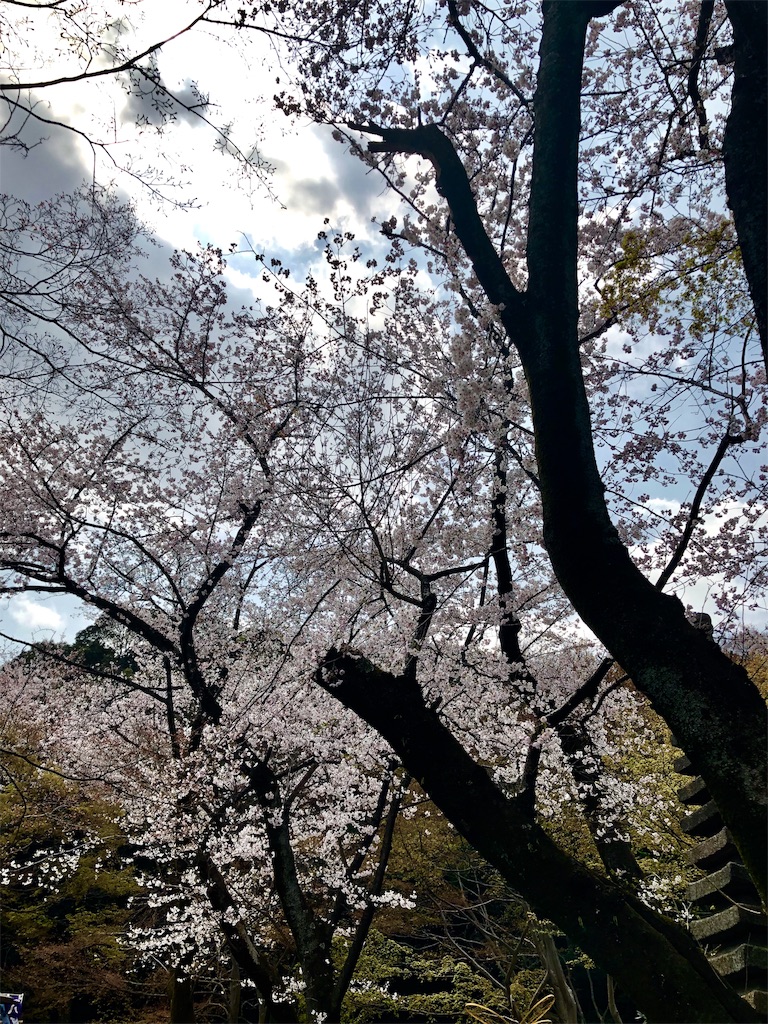 f:id:miD0:20190408214109j:image