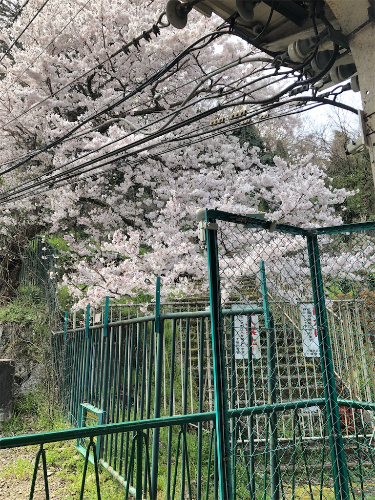 f:id:miD0:20190408214132j:image