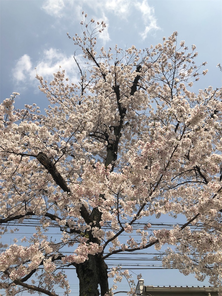 f:id:miD0:20190408214136j:image