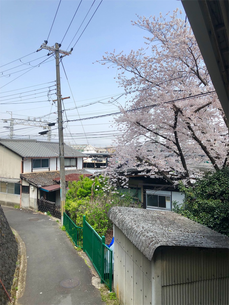 f:id:miD0:20190408214140j:image