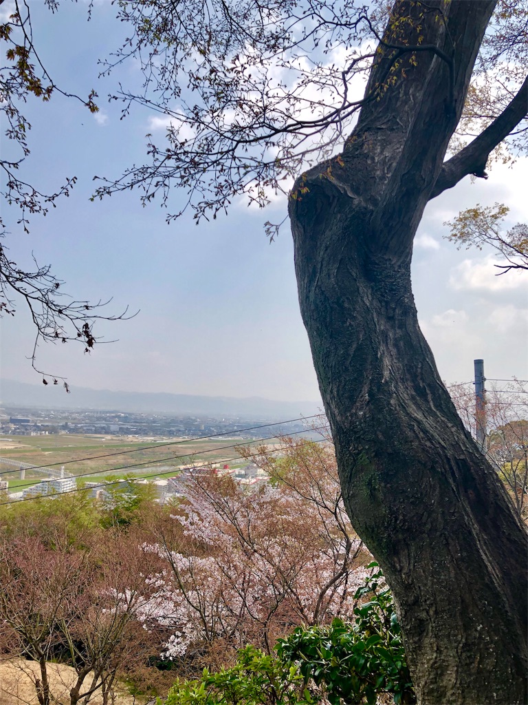 f:id:miD0:20190408214205j:image