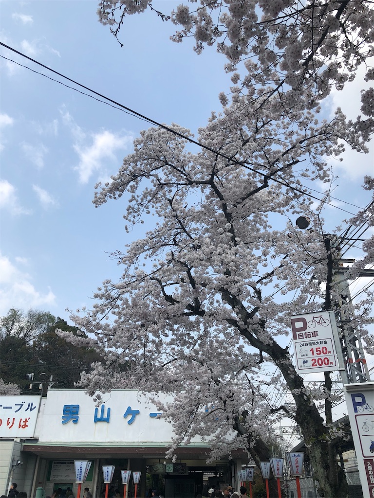 f:id:miD0:20190408214209j:image