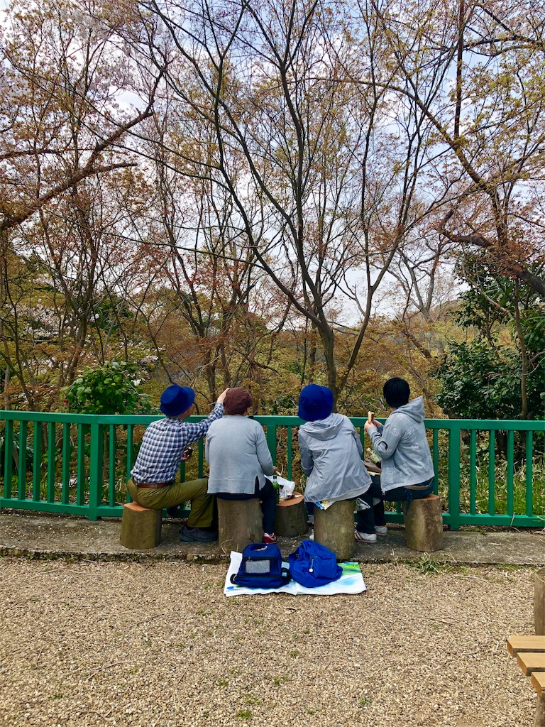 f:id:miD0:20190408214339j:image