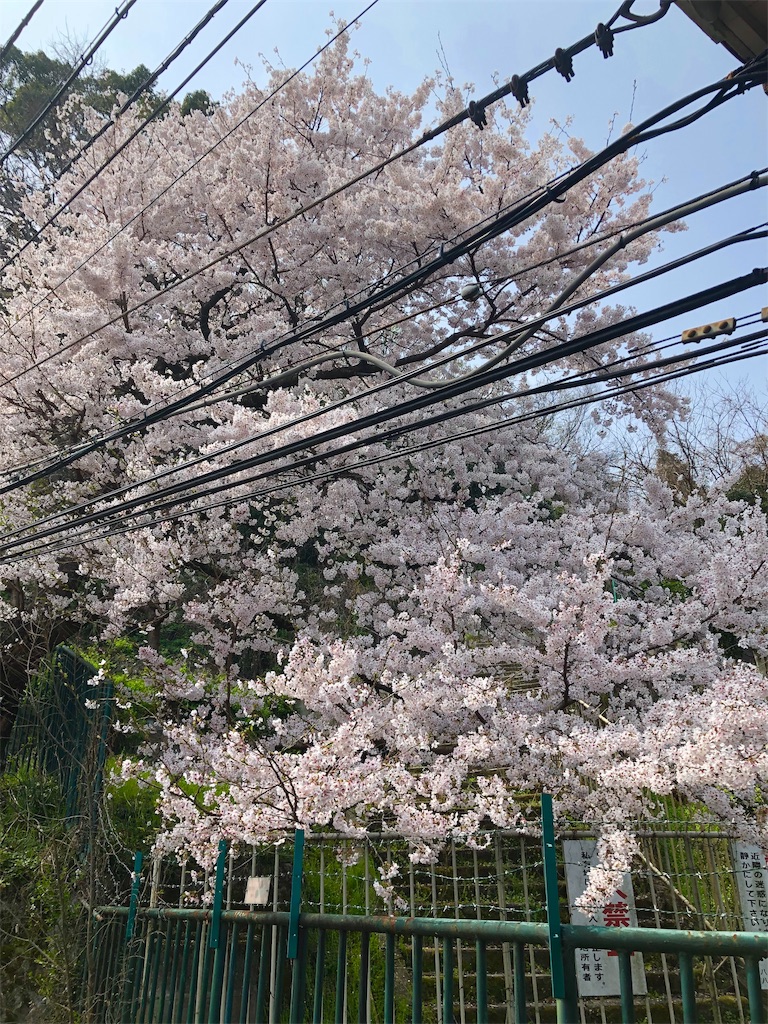 f:id:miD0:20190408214503j:image