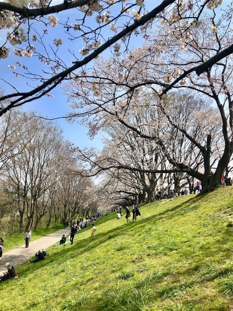 f:id:miD0:20190409200843j:image
