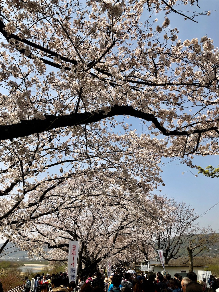 f:id:miD0:20190409200847j:image