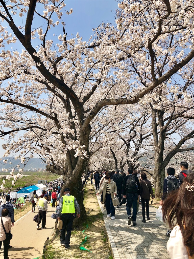 f:id:miD0:20190409200855j:image