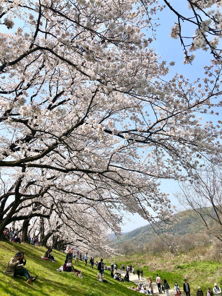 f:id:miD0:20190409200900j:image