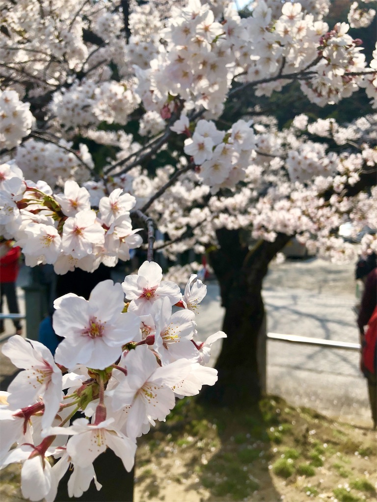 f:id:miD0:20190409200912j:image