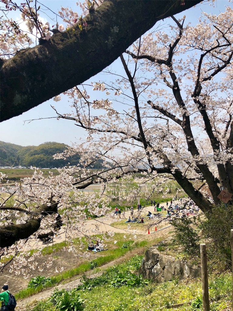 f:id:miD0:20190409200918j:image
