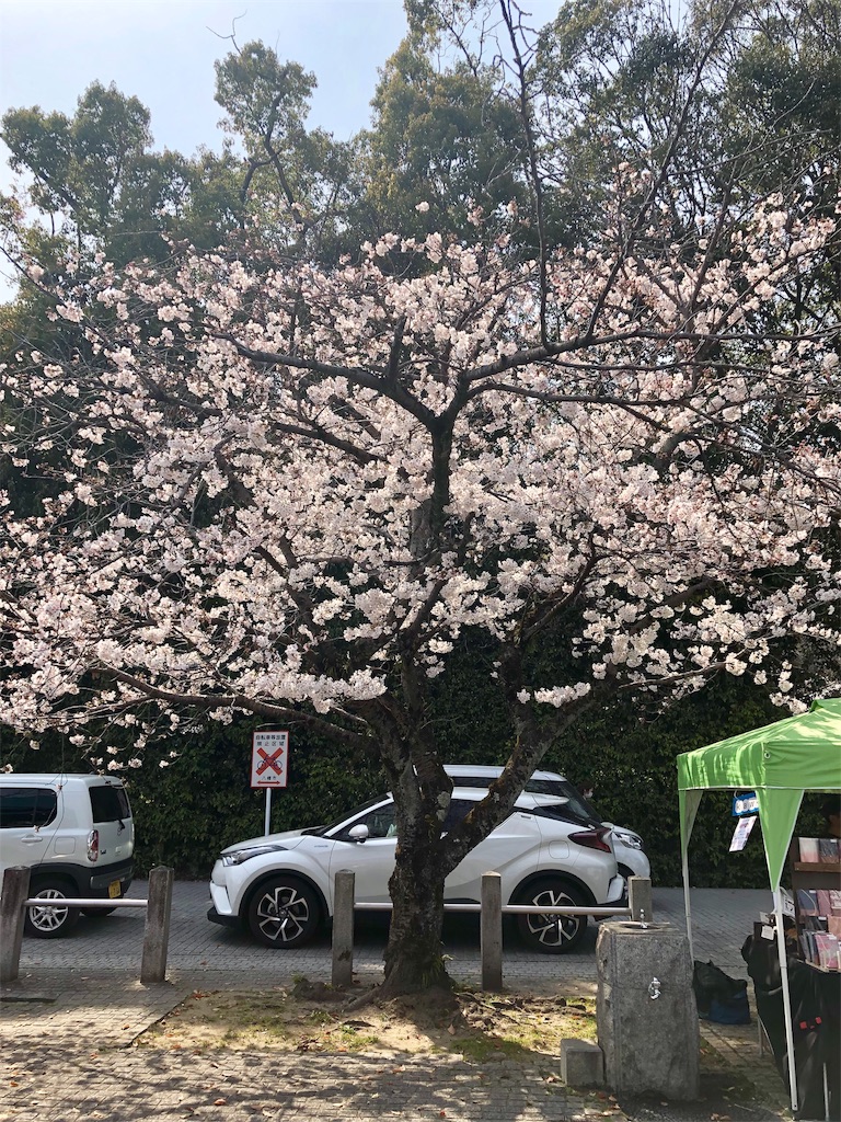 f:id:miD0:20190409200926j:image