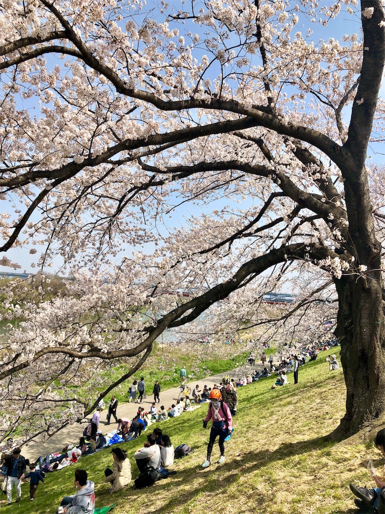 f:id:miD0:20190409200931j:image