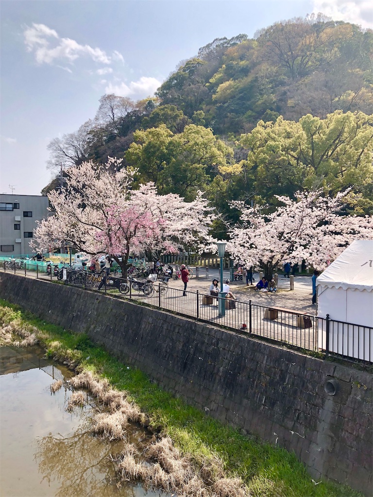 f:id:miD0:20190409200939j:image