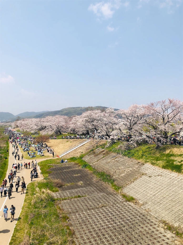 f:id:miD0:20190409200943j:image