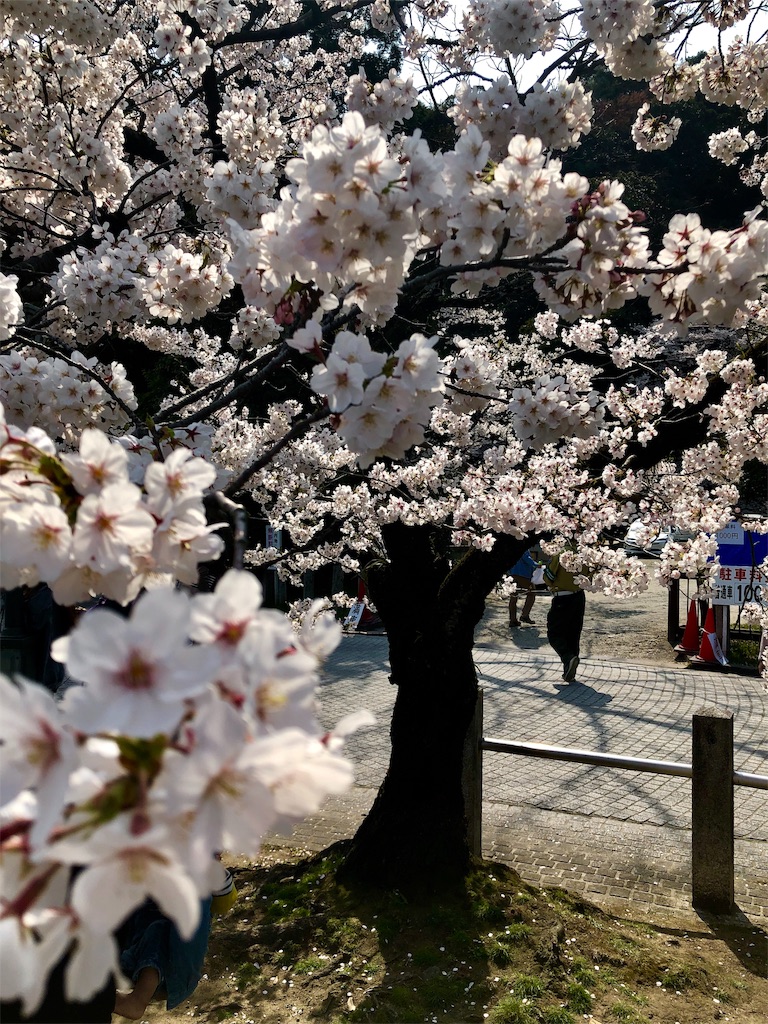 f:id:miD0:20190409200947j:image