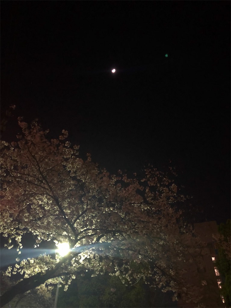 f:id:miD0:20190417212249j:image