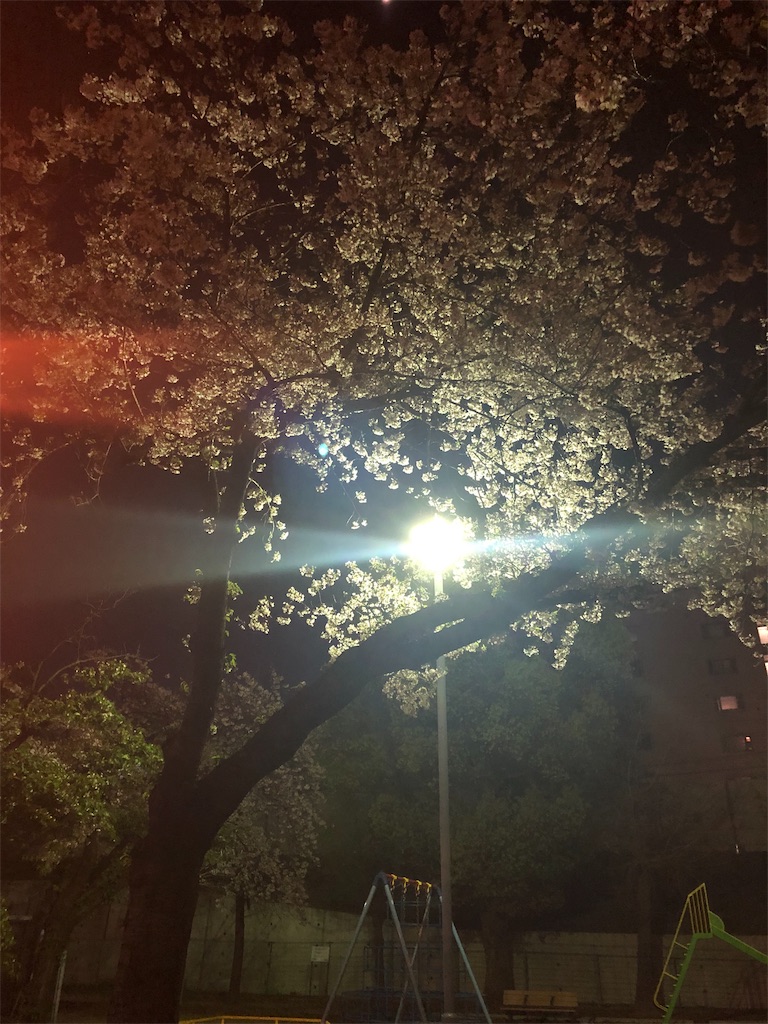 f:id:miD0:20190417212310j:image