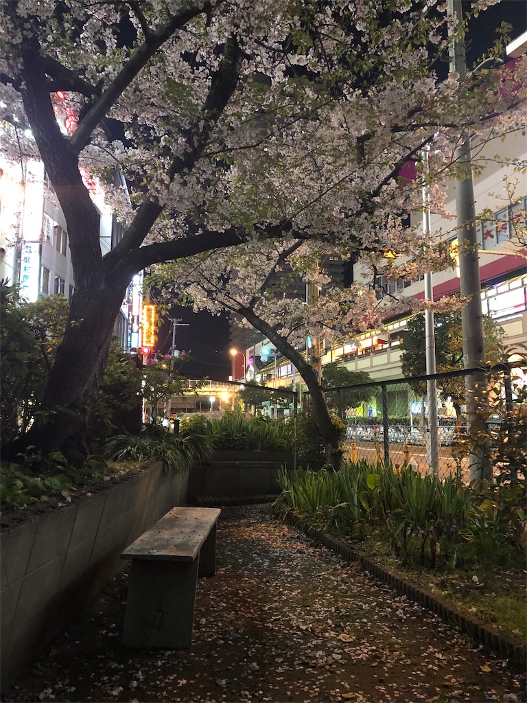 f:id:miD0:20190417213101j:image