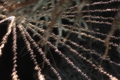 20101210205503