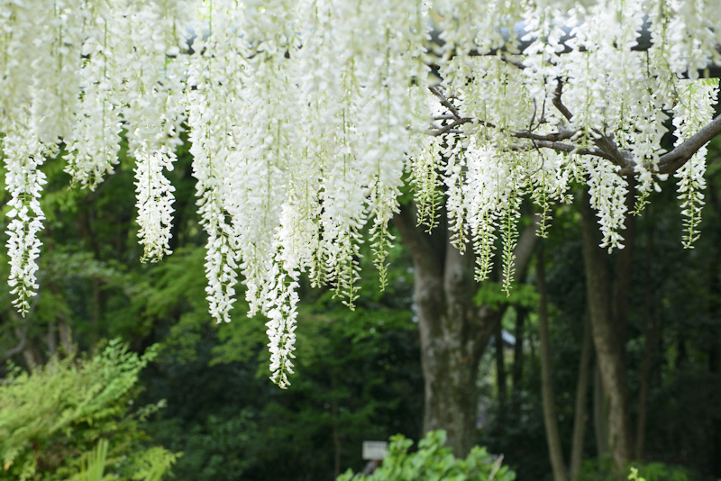f:id:mi_chi_ku_sa:20140503173512j:image f:id:mi_chi_ku_sa:20140503173512j:image