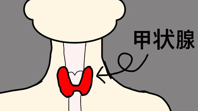 f:id:mi_monsto_baka:20190109221204j:plain f:id:mi_monsto_baka:20190109221204j:plain