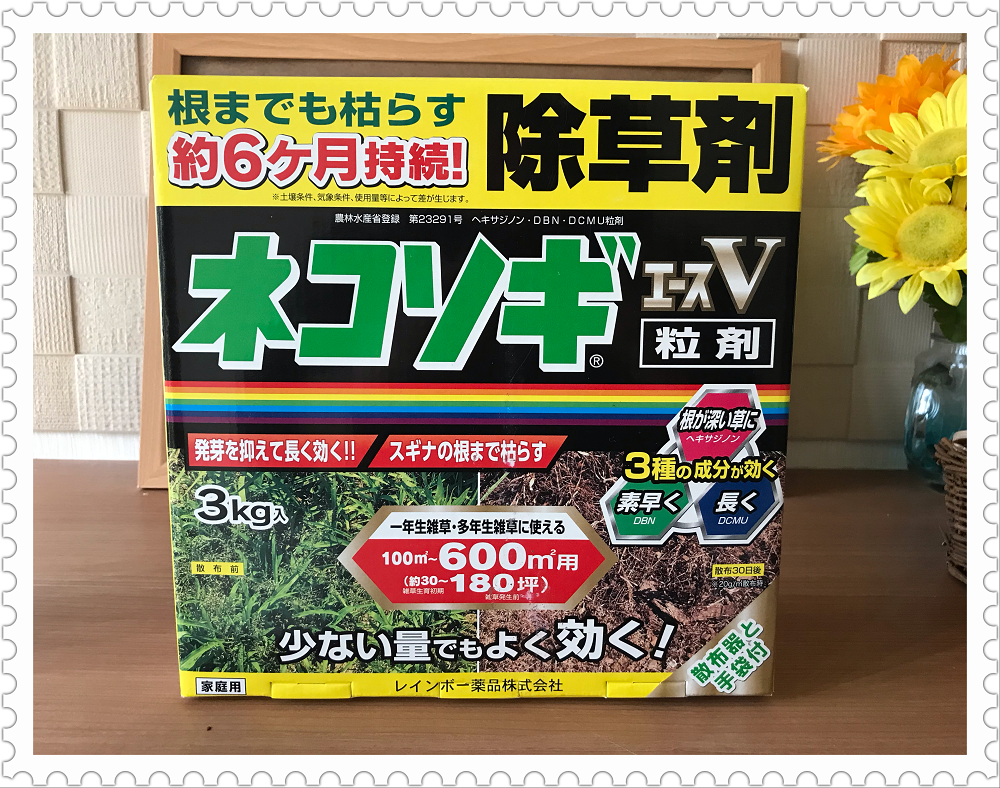 f:id:mi_monsto_baka:20190321120914p:plain f:id:mi_monsto_baka:20190321120914p:plain