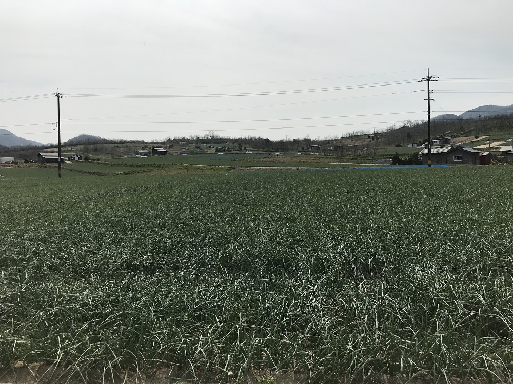 f:id:mi_monsto_baka:20190329122227j:plain f:id:mi_monsto_baka:20190329122227j:plain