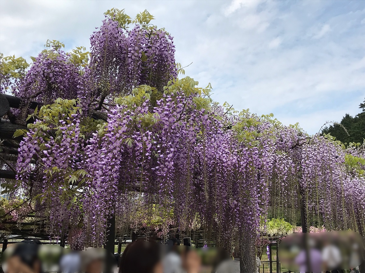 f:id:mi_monsto_baka:20190506145306j:plain f:id:mi_monsto_baka:20190506145306j:plain