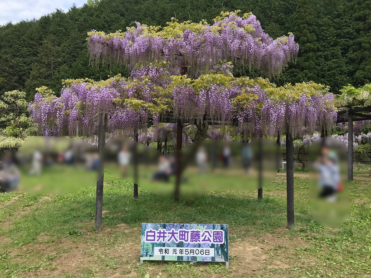 f:id:mi_monsto_baka:20190506150424j:plain f:id:mi_monsto_baka:20190506150424j:plain