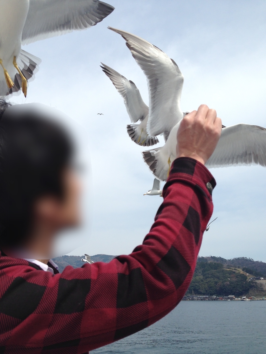 f:id:mi_monsto_baka:20190518014148j:plain f:id:mi_monsto_baka:20190518014148j:plain