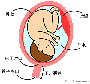 f:id:mi_monsto_baka:20190831203001j:plain f:id:mi_monsto_baka:20190831203001j:plain