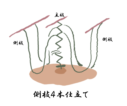 f:id:mi_ya5:20180824134444g:plain f:id:mi_ya5:20180824134444g:plain
