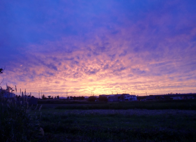 f:id:mia-siro-no:20150907181033j:image:w360