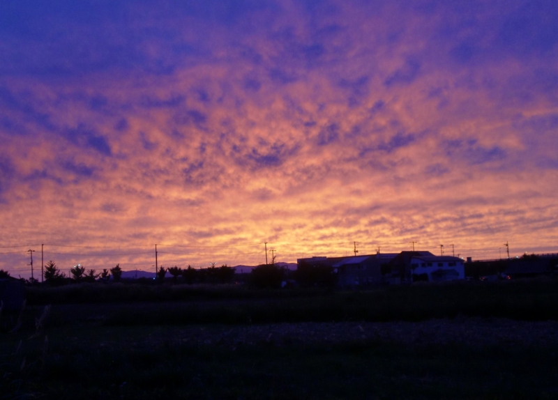 f:id:mia-siro-no:20150907181044j:image:w360