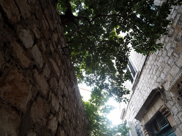 f:id:mia-travelista:20180327082431j:plain f:id:mia-travelista:20180327082431j:plain