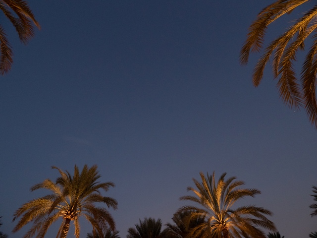 f:id:mia-travelista:20190218220356j:plain f:id:mia-travelista:20190218220356j:plain