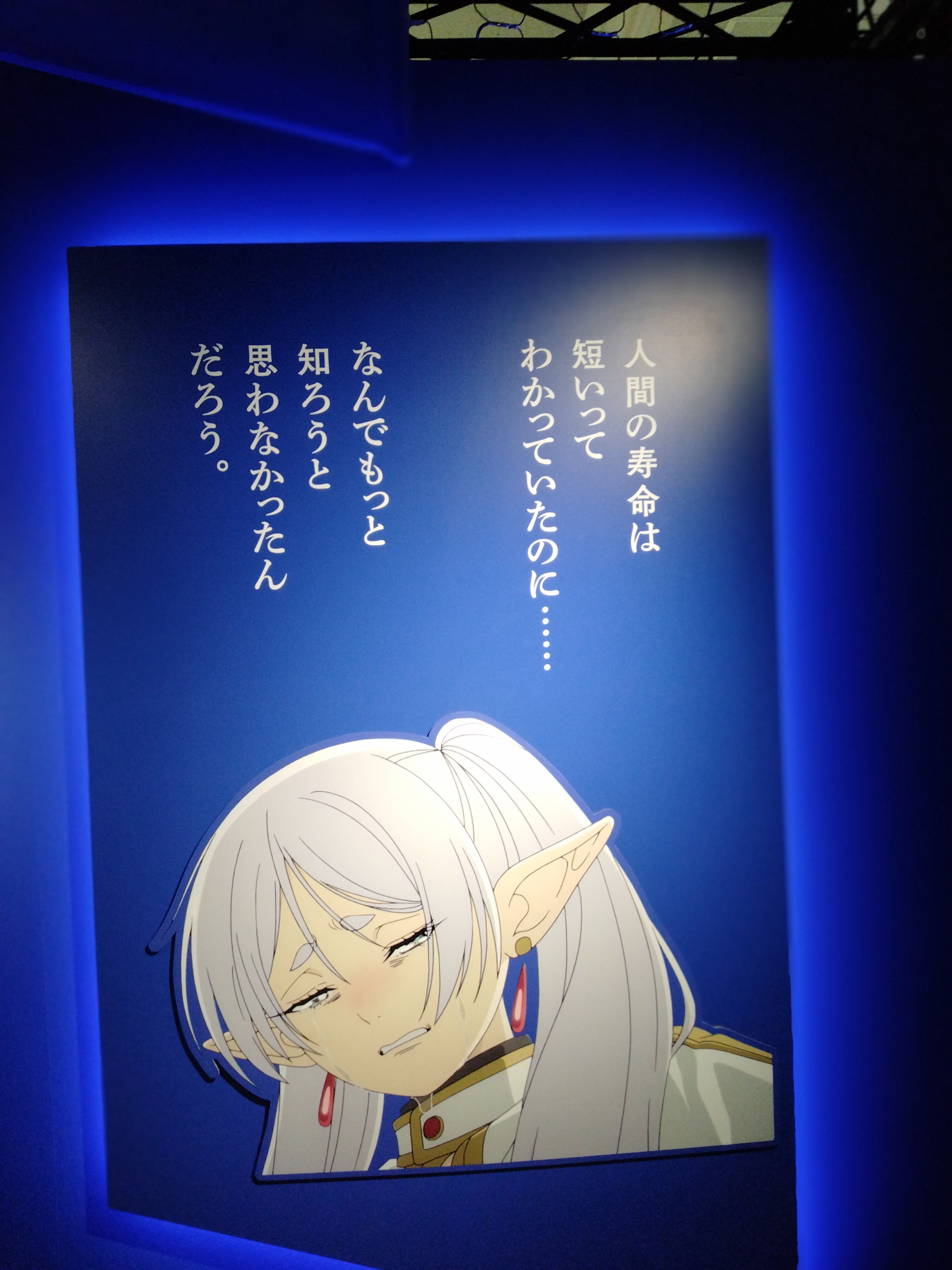 f:id:mianamiana:20240512193538j:image