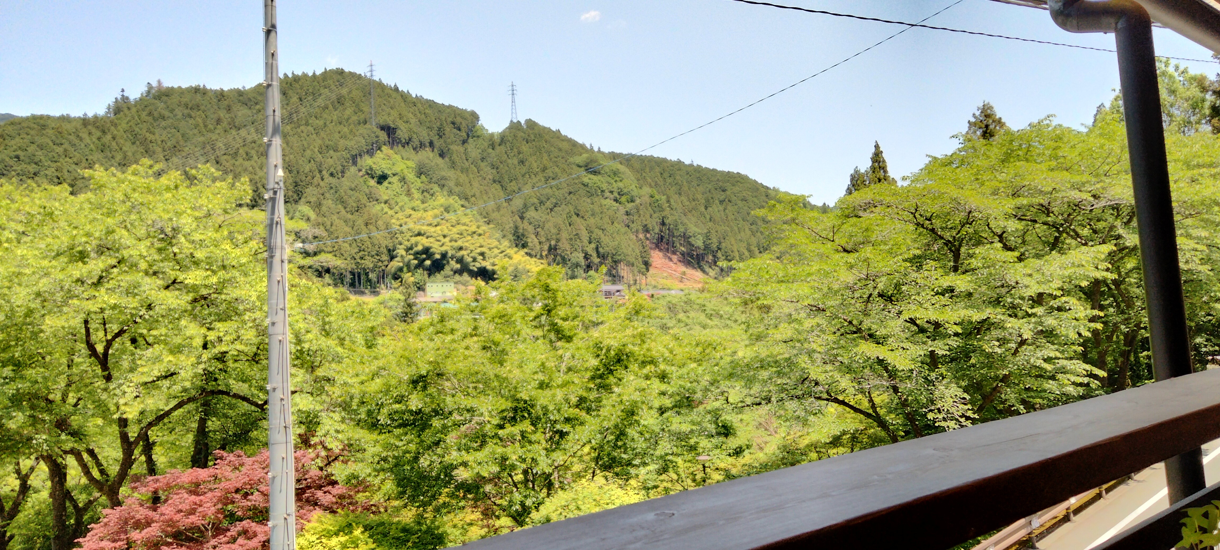 f:id:mianamiana:20240523092843j:image