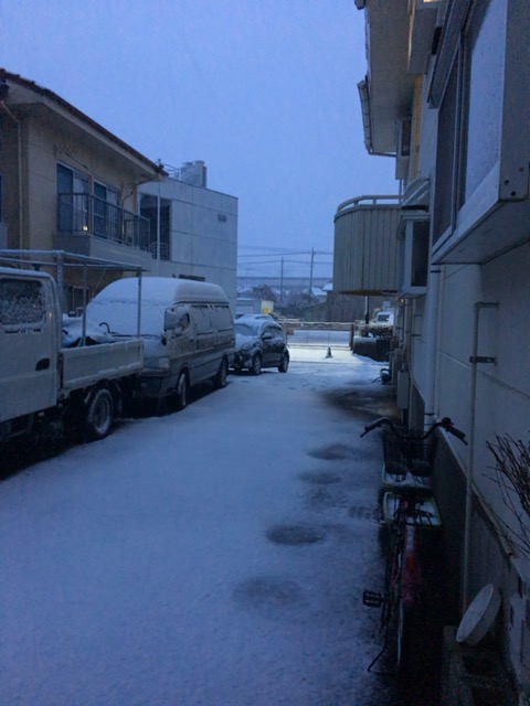f:id:miapom618:20160119000944j:plain